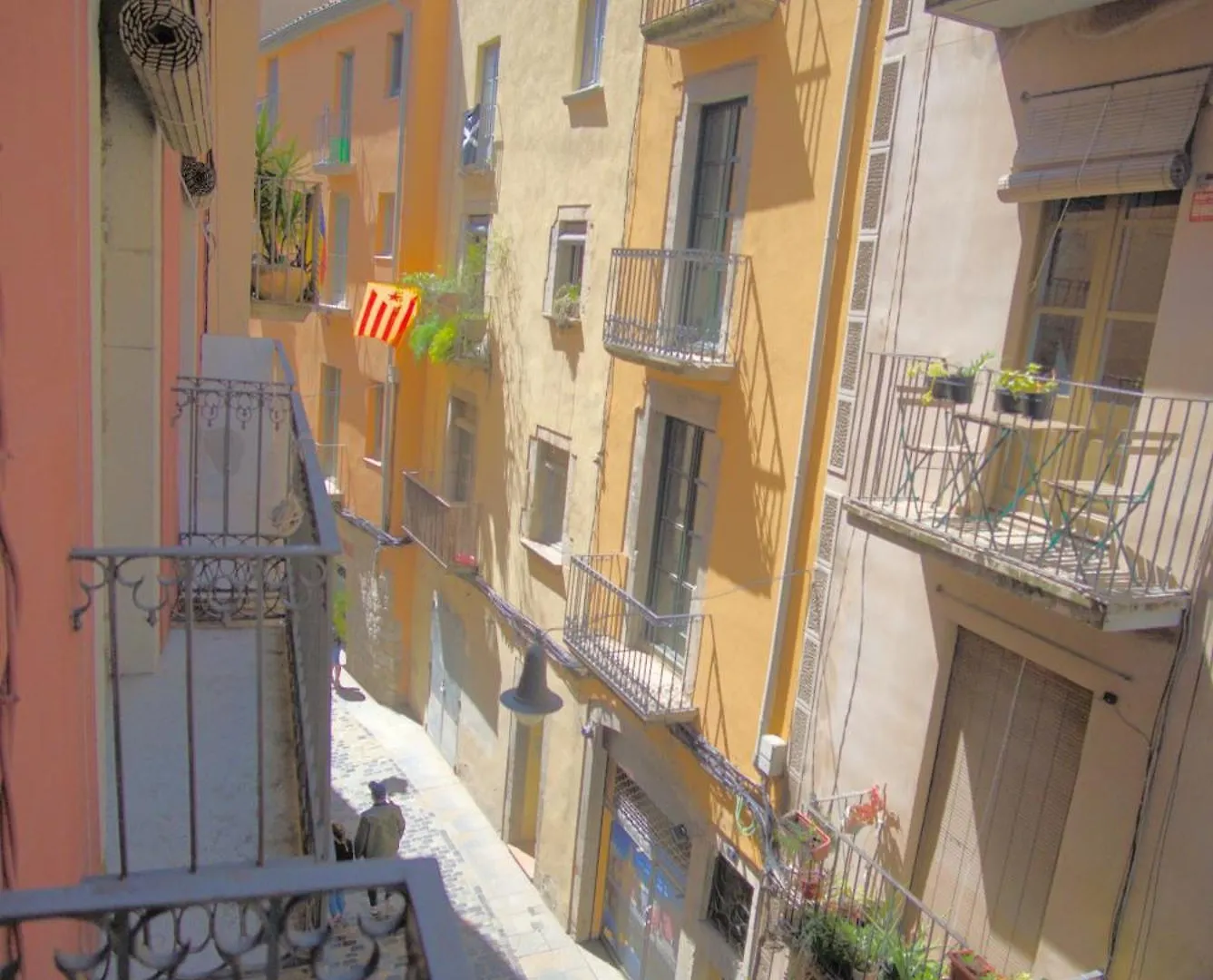 La Lleona Apartment Girona